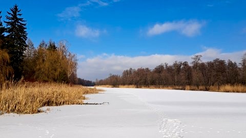 Sylwester w Dworku nad Wkrą - Sylwester