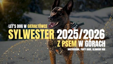 Sylwester 2025/26 z psami w Gierałtówce - Sylwester