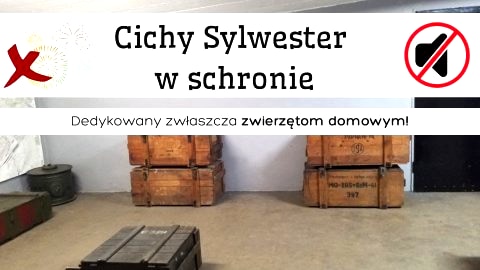 Cichy Sylwester w schronie - Sylwester