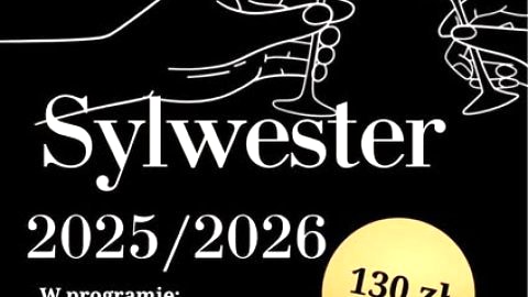 Sylwester w Kaczogrodzie - Sylwester