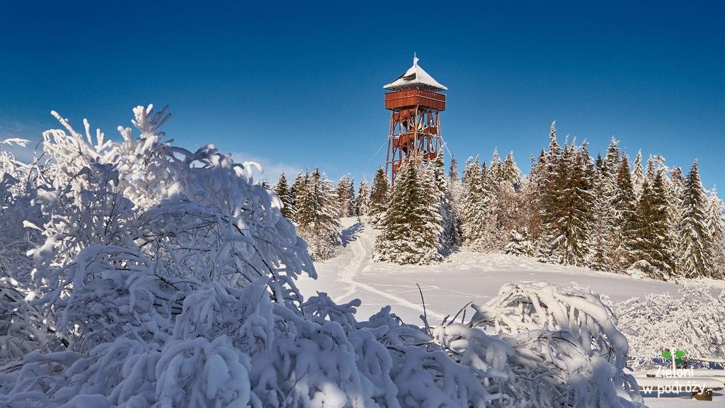 Sylwester w Górach BAL, Wyżywienie, Basen, Spa, TERMY wycieczka Zakopane