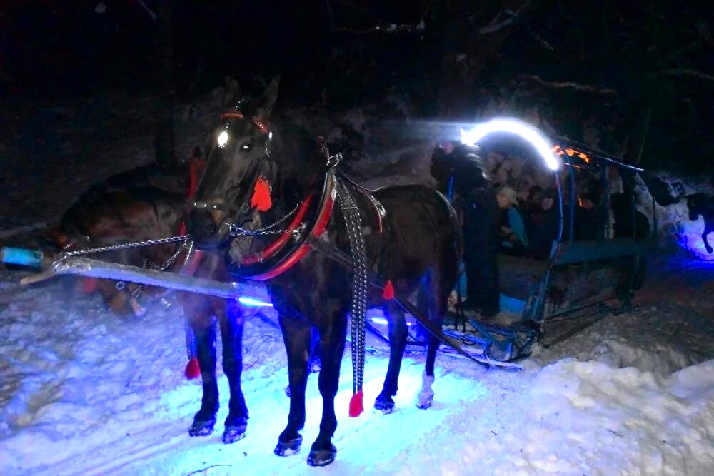 KULIGI PASTERSKIE W ŻABNICY (Beskid Żywiecki) z OGNISKIEM i BIESIADĄ